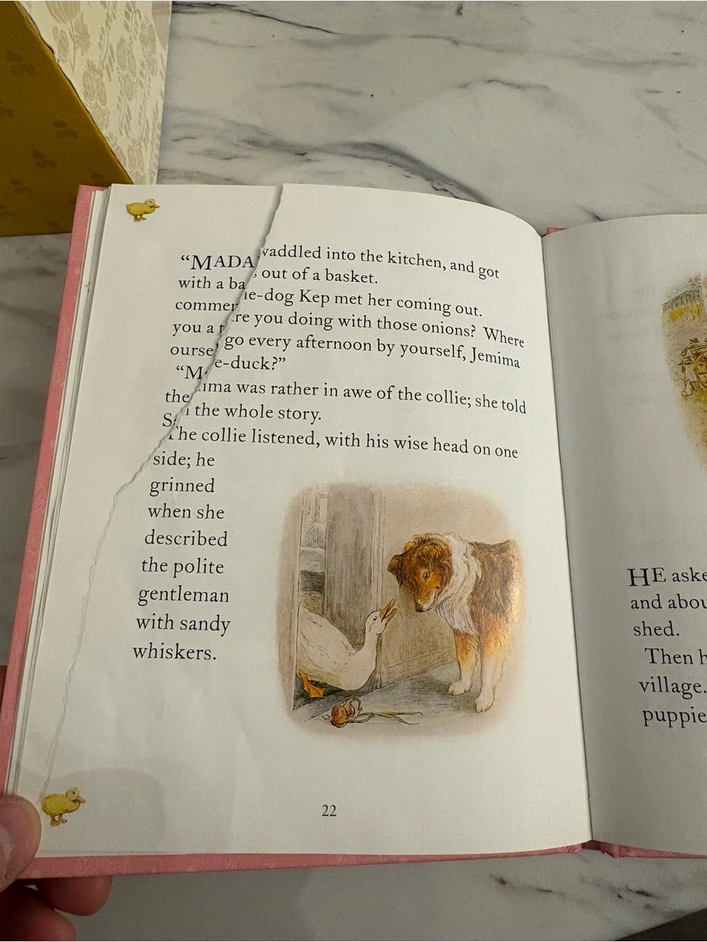 Beatrix Potter The Complete Peter Rabbit Library boxed set 23 book collection - Picture 16 of 16